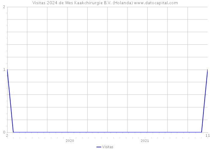 Visitas 2024 de Wes Kaakchirurgie B.V. (Holanda) 