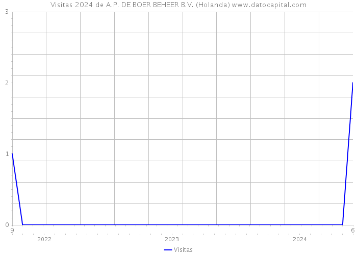 Visitas 2024 de A.P. DE BOER BEHEER B.V. (Holanda) 