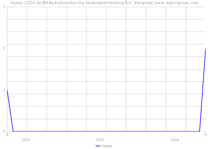 Visitas 2024 de BN Bedrijfsrecherche Nederland Holding B.V. (Holanda) 