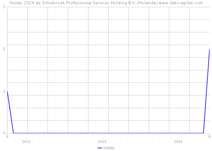 Visitas 2024 de Schiebroek Professional Services Holding B.V. (Holanda) 