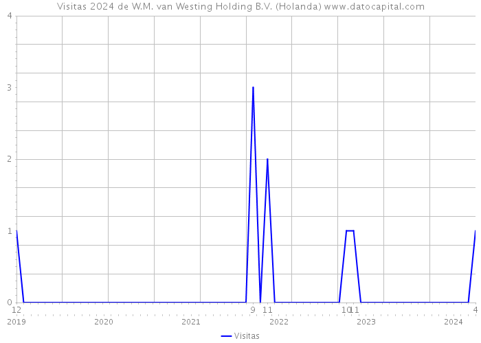 Visitas 2024 de W.M. van Westing Holding B.V. (Holanda) 