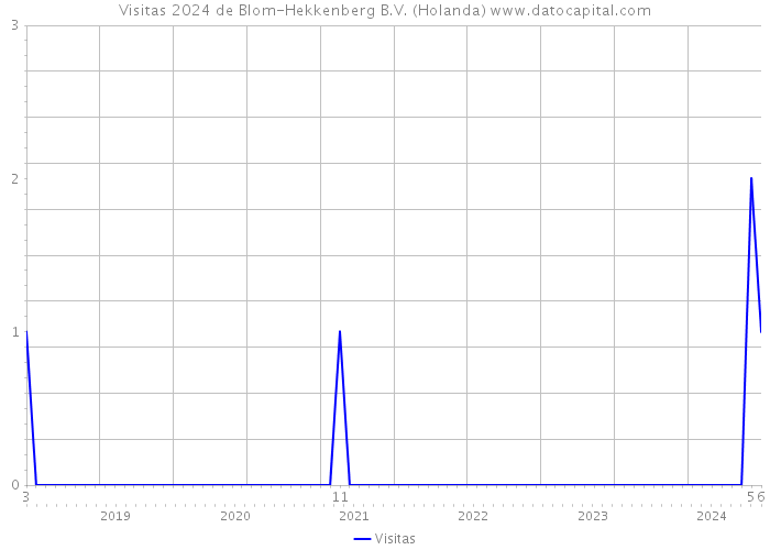 Visitas 2024 de Blom-Hekkenberg B.V. (Holanda) 
