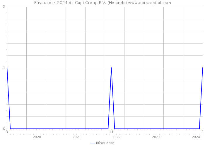 Búsquedas 2024 de Capi Group B.V. (Holanda) 