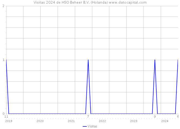 Visitas 2024 de HSO Beheer B.V. (Holanda) 