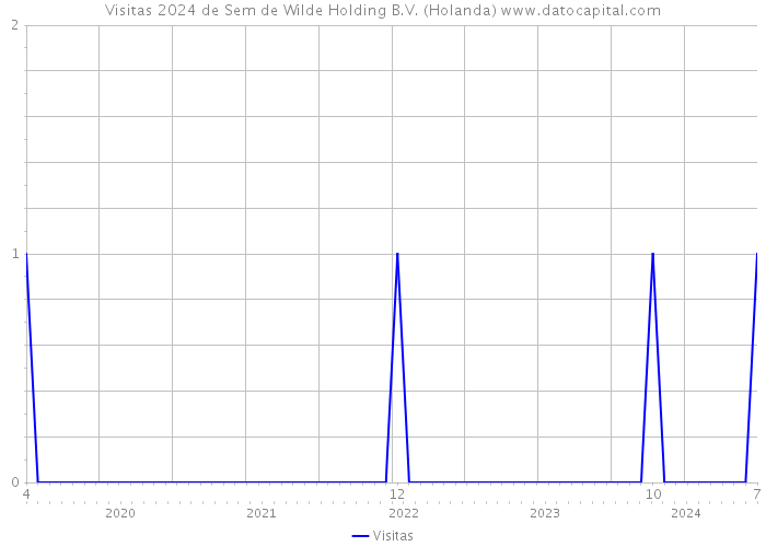 Visitas 2024 de Sem de Wilde Holding B.V. (Holanda) 