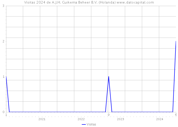 Visitas 2024 de A.J.H. Guikema Beheer B.V. (Holanda) 