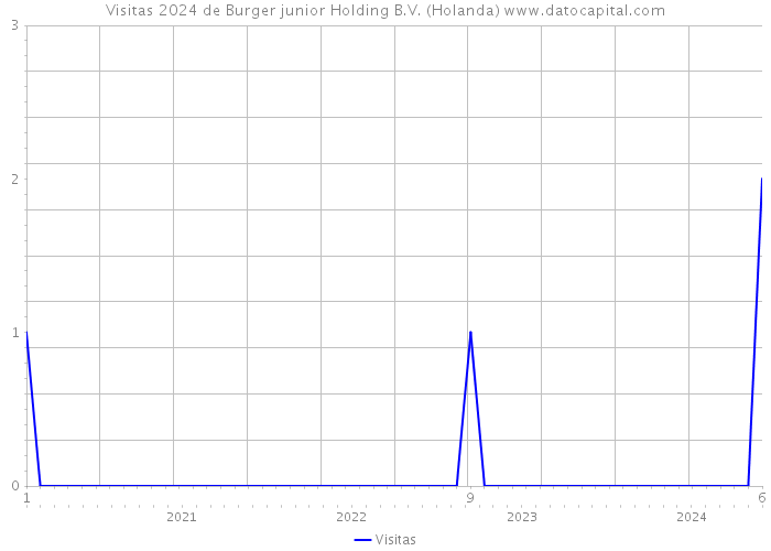 Visitas 2024 de Burger junior Holding B.V. (Holanda) 