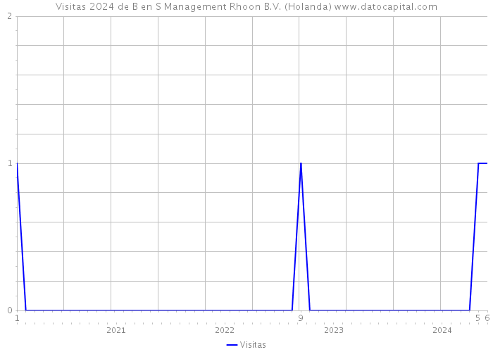 Visitas 2024 de B en S Management Rhoon B.V. (Holanda) 