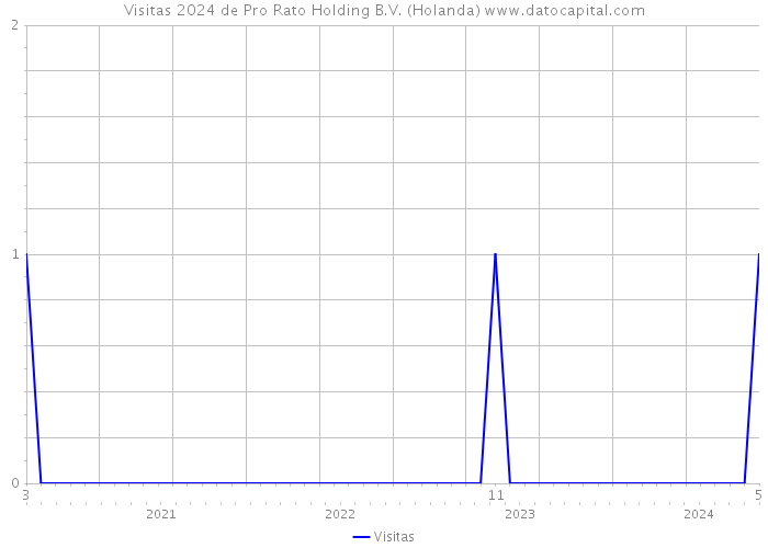 Visitas 2024 de Pro Rato Holding B.V. (Holanda) 