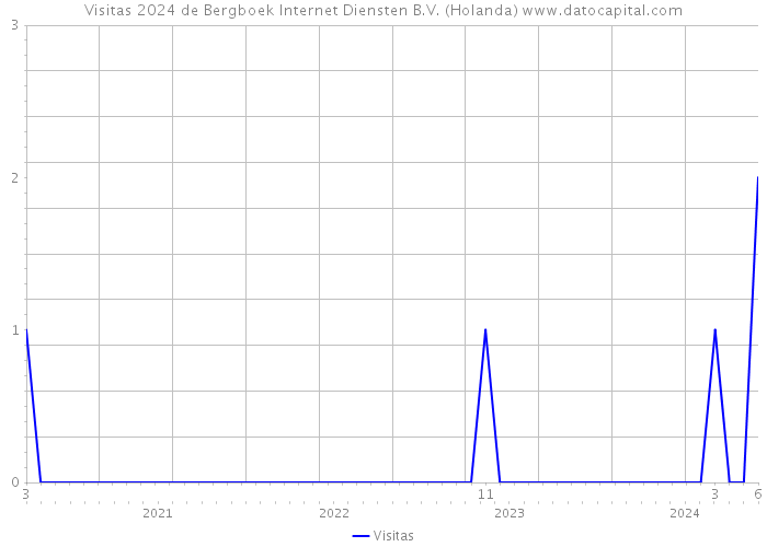 Visitas 2024 de Bergboek Internet Diensten B.V. (Holanda) 