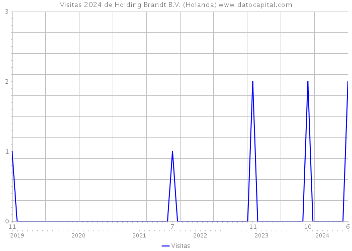 Visitas 2024 de Holding Brandt B.V. (Holanda) 