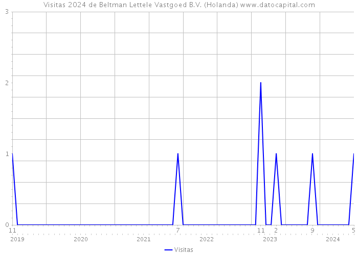 Visitas 2024 de Beltman Lettele Vastgoed B.V. (Holanda) 