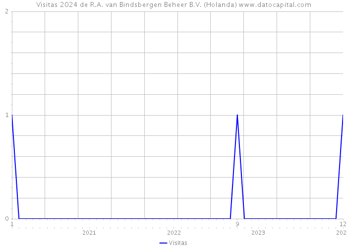 Visitas 2024 de R.A. van Bindsbergen Beheer B.V. (Holanda) 