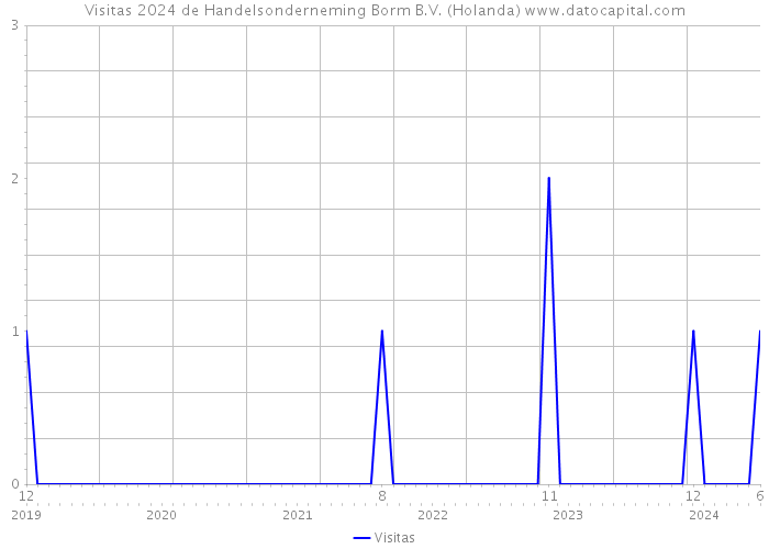 Visitas 2024 de Handelsonderneming Borm B.V. (Holanda) 