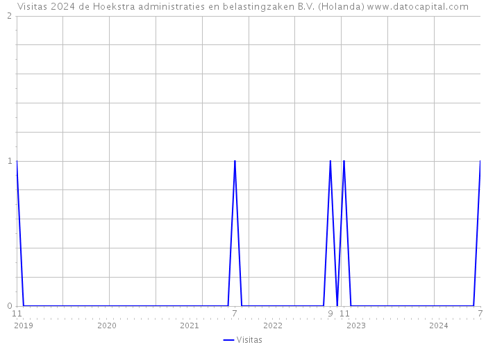 Visitas 2024 de Hoekstra administraties en belastingzaken B.V. (Holanda) 