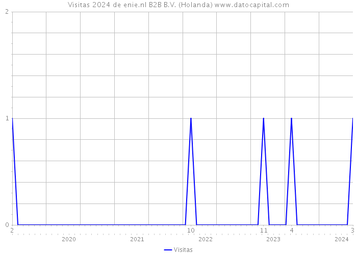 Visitas 2024 de enie.nl B2B B.V. (Holanda) 