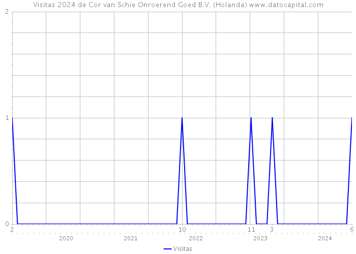 Visitas 2024 de Cor van Schie Onroerend Goed B.V. (Holanda) 