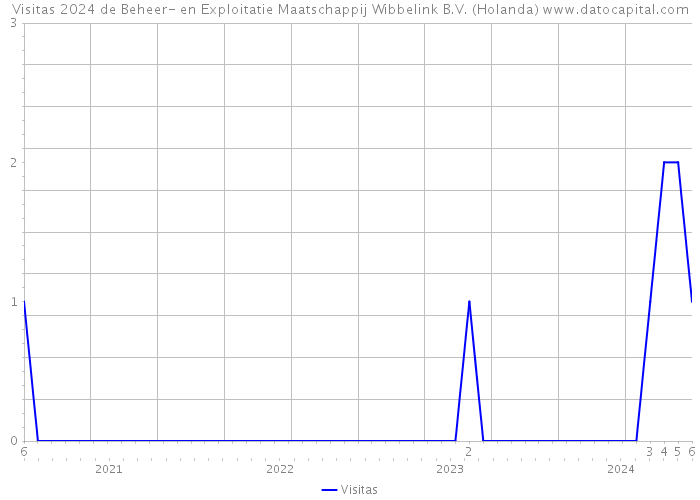 Visitas 2024 de Beheer- en Exploitatie Maatschappij Wibbelink B.V. (Holanda) 