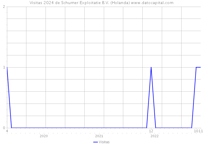 Visitas 2024 de Schumer Exploitatie B.V. (Holanda) 