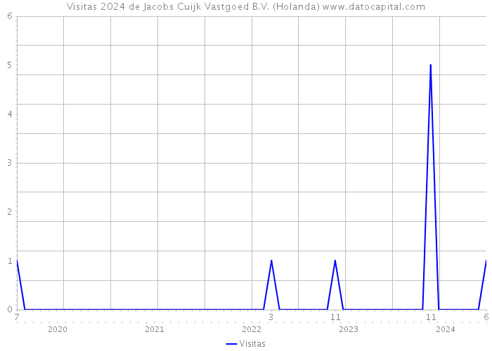 Visitas 2024 de Jacobs Cuijk Vastgoed B.V. (Holanda) 