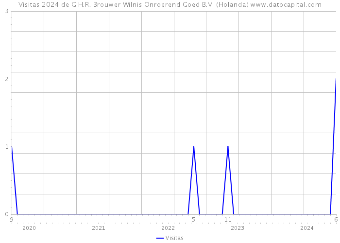 Visitas 2024 de G.H.R. Brouwer Wilnis Onroerend Goed B.V. (Holanda) 