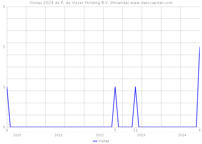 Visitas 2024 de R. de Visser Holding B.V. (Holanda) 