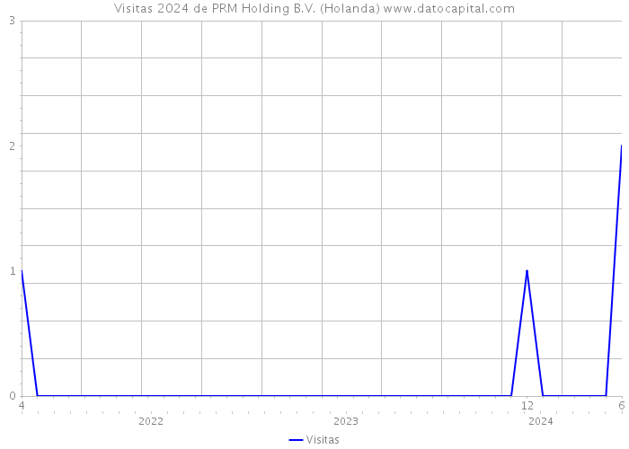 Visitas 2024 de PRM Holding B.V. (Holanda) 