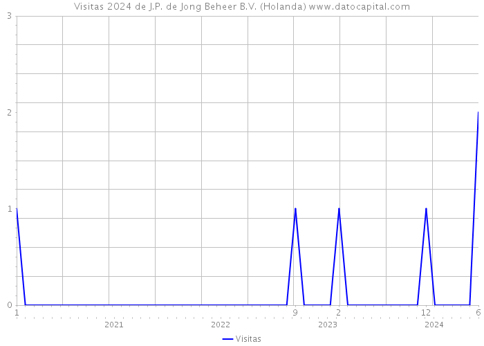 Visitas 2024 de J.P. de Jong Beheer B.V. (Holanda) 