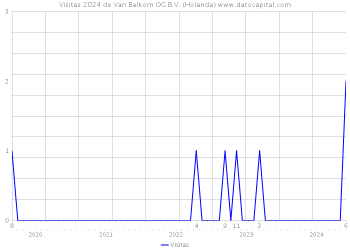 Visitas 2024 de Van Balkom OG B.V. (Holanda) 