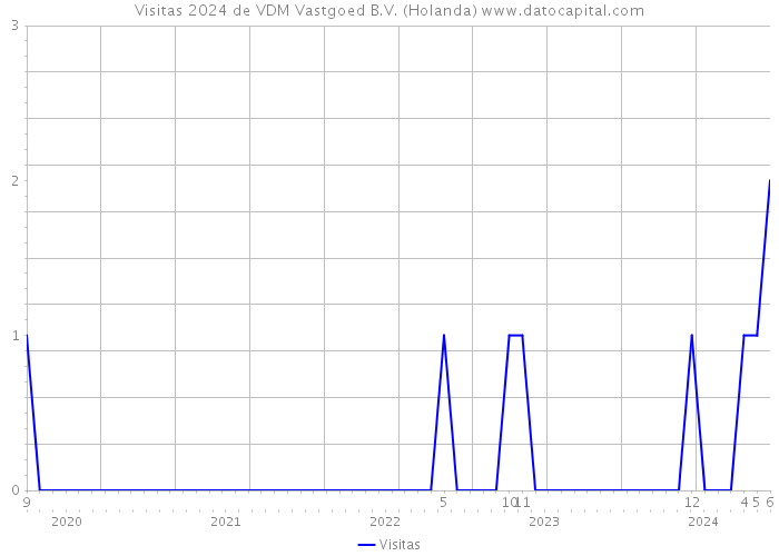 Visitas 2024 de VDM Vastgoed B.V. (Holanda) 