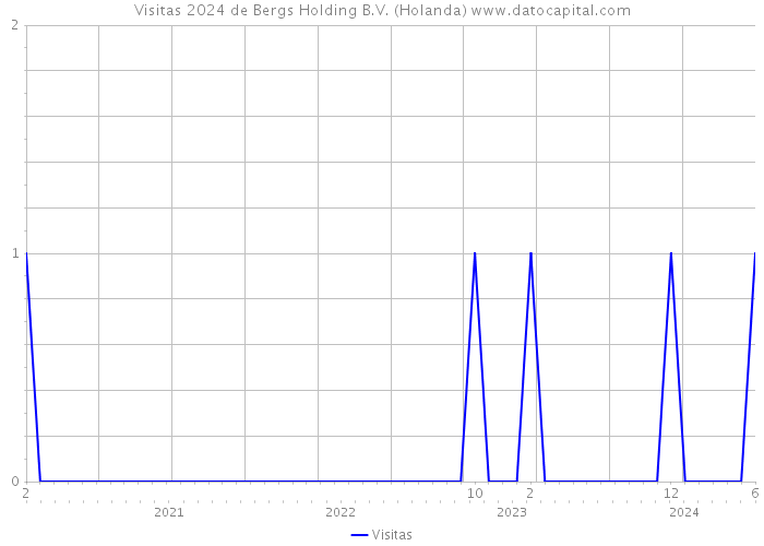 Visitas 2024 de Bergs Holding B.V. (Holanda) 