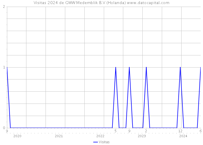 Visitas 2024 de GWW Medemblik B.V (Holanda) 