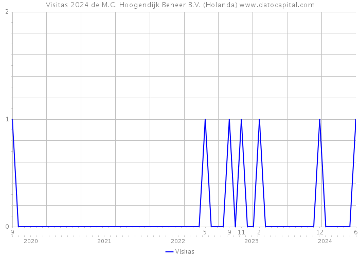 Visitas 2024 de M.C. Hoogendijk Beheer B.V. (Holanda) 