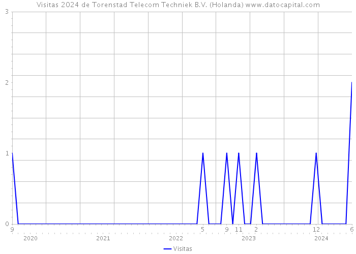 Visitas 2024 de Torenstad Telecom Techniek B.V. (Holanda) 