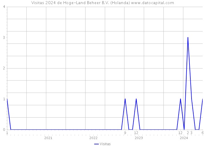 Visitas 2024 de Hoge-Land Beheer B.V. (Holanda) 