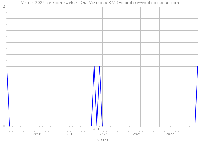 Visitas 2024 de Boomkwekerij Out Vastgoed B.V. (Holanda) 