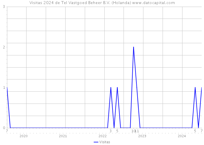 Visitas 2024 de Tel Vastgoed Beheer B.V. (Holanda) 