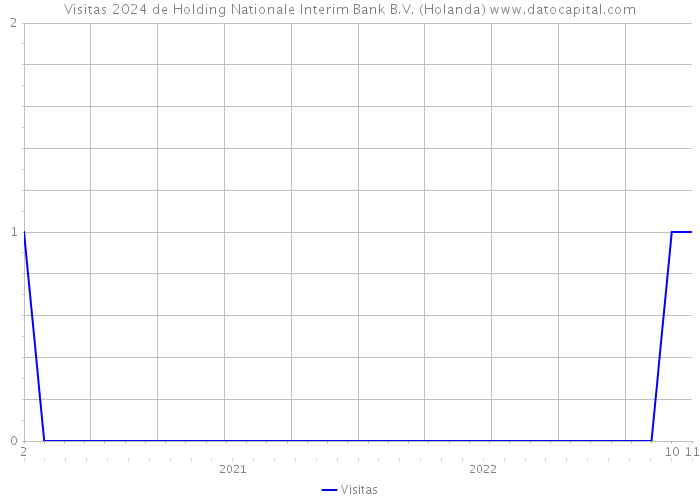 Visitas 2024 de Holding Nationale Interim Bank B.V. (Holanda) 