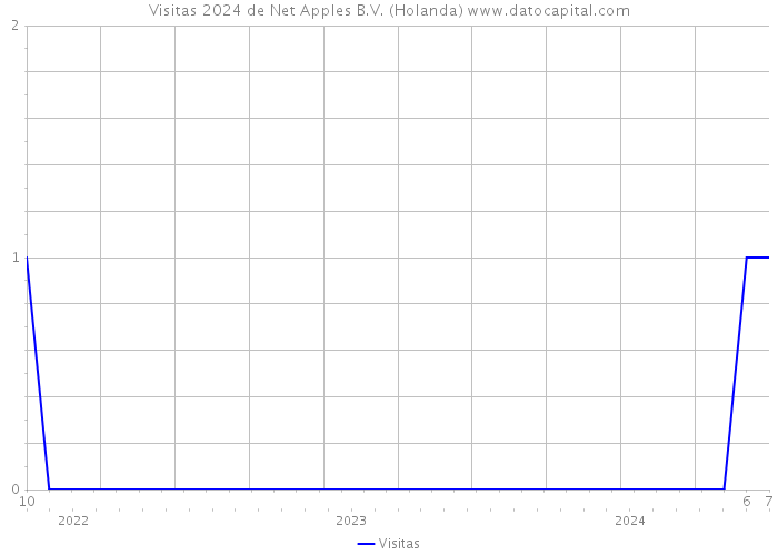 Visitas 2024 de Net Apples B.V. (Holanda) 