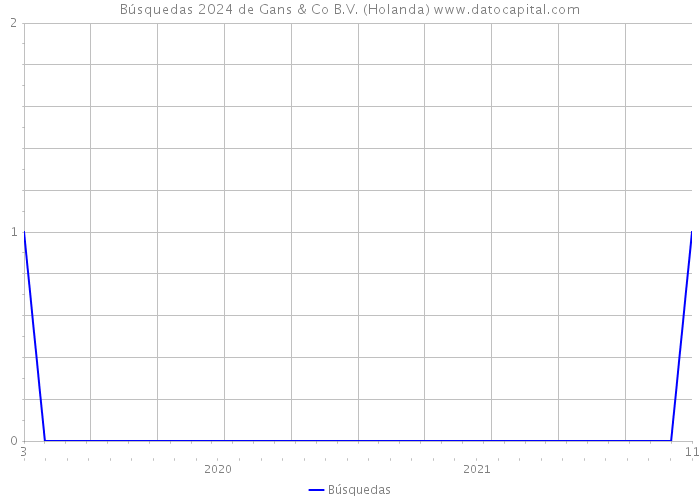 Búsquedas 2024 de Gans & Co B.V. (Holanda) 