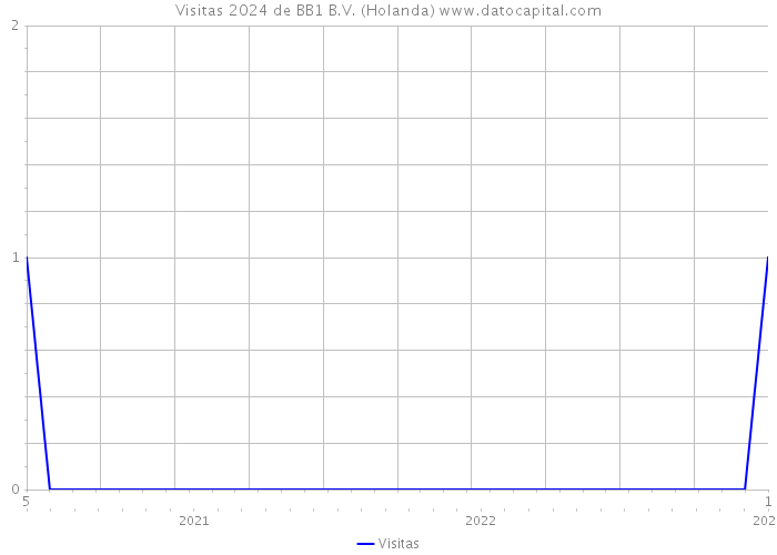 Visitas 2024 de BB1 B.V. (Holanda) 