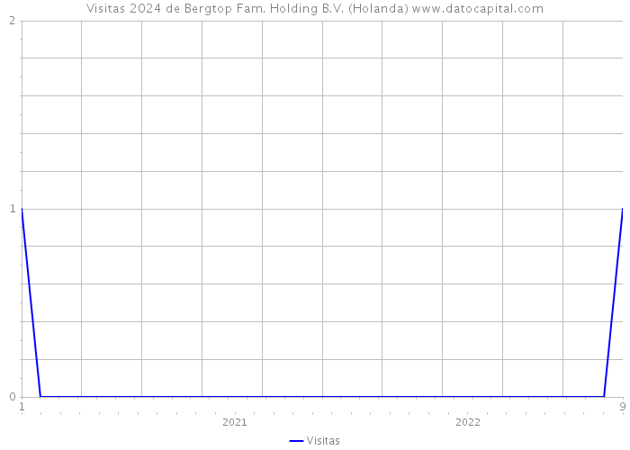 Visitas 2024 de Bergtop Fam. Holding B.V. (Holanda) 