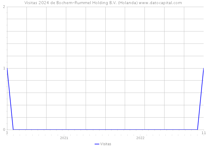 Visitas 2024 de Bochem-Rummel Holding B.V. (Holanda) 