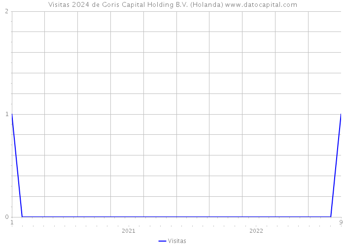 Visitas 2024 de Goris Capital Holding B.V. (Holanda) 
