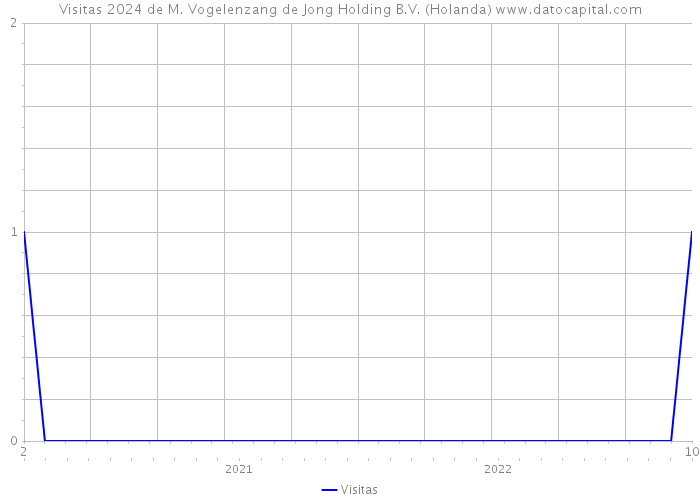 Visitas 2024 de M. Vogelenzang de Jong Holding B.V. (Holanda) 