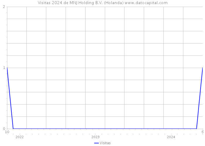 Visitas 2024 de MNJ Holding B.V. (Holanda) 