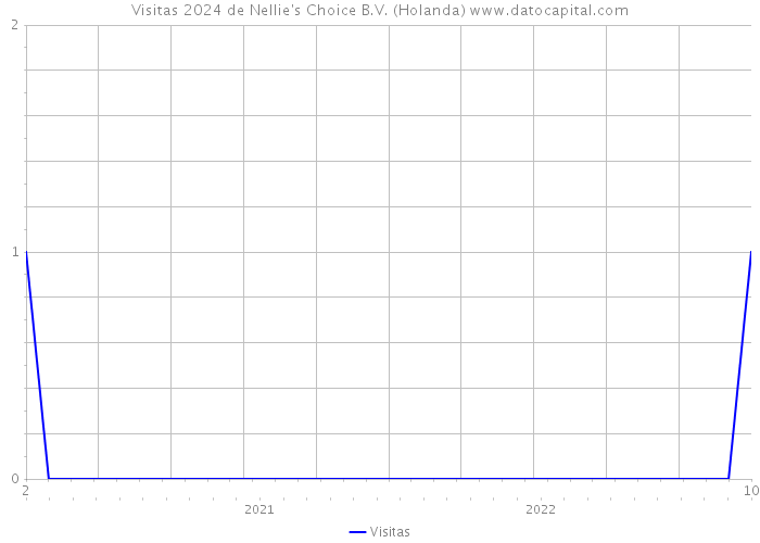 Visitas 2024 de Nellie's Choice B.V. (Holanda) 