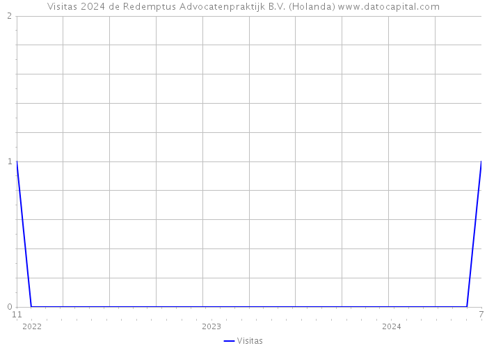 Visitas 2024 de Redemptus Advocatenpraktijk B.V. (Holanda) 