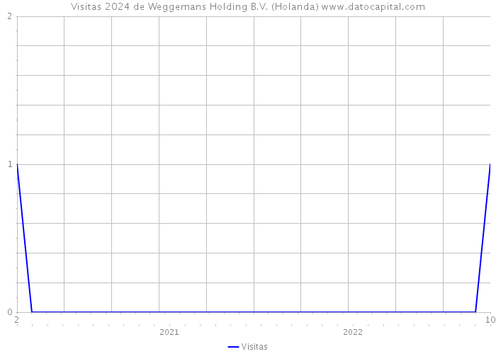 Visitas 2024 de Weggemans Holding B.V. (Holanda) 