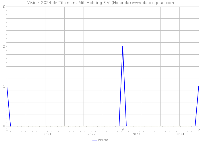 Visitas 2024 de Tillemans Mill Holding B.V. (Holanda) 